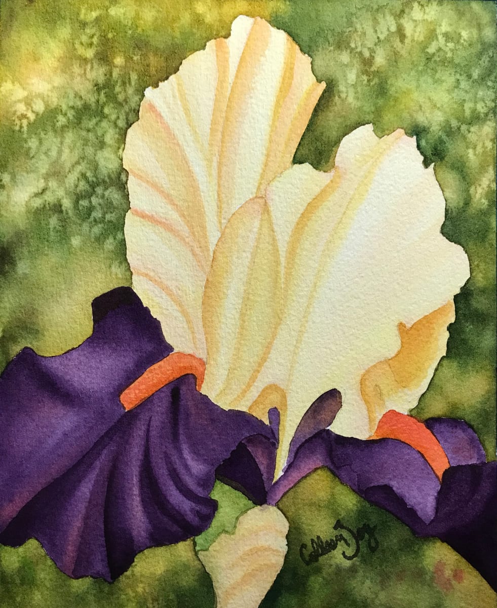 Purple Falls by Colleen Joy Vawter 