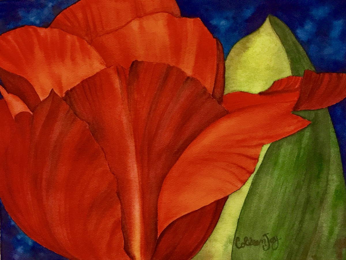 One Red Tulip by Colleen Joy Vawter 