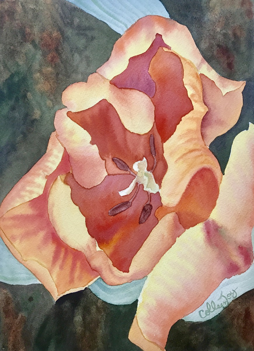 Bush Park Tulip by Colleen Joy Vawter 