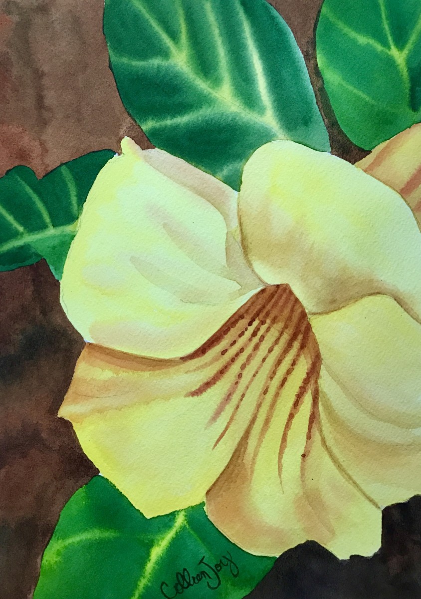 Florida Flower by Colleen Joy Vawter 