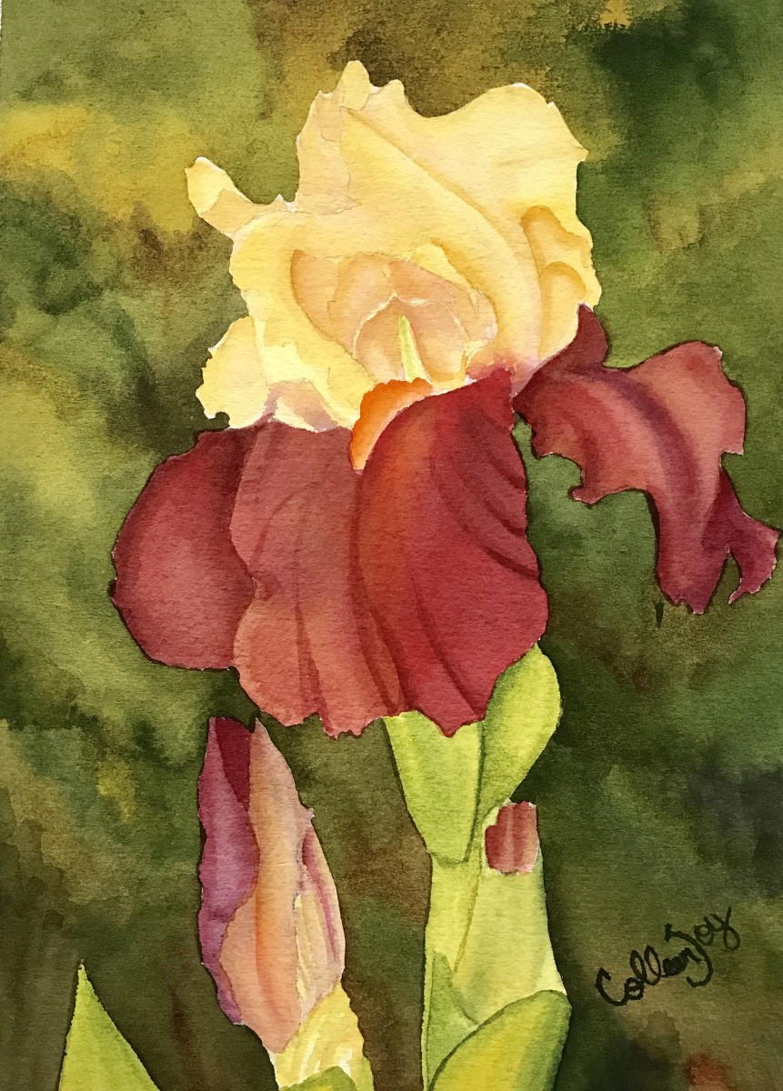 Pinot Gris by Colleen Joy Vawter 