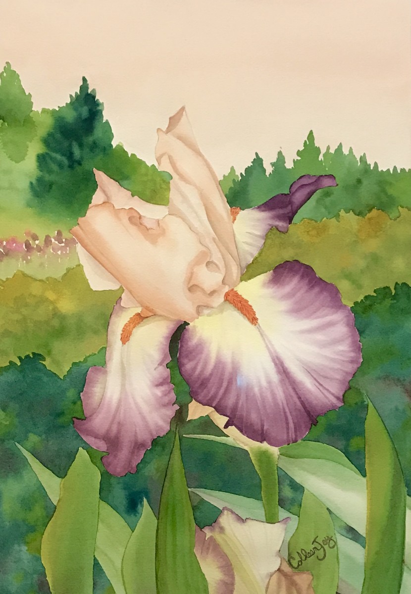 Dena’s Iris by Colleen Joy Vawter 