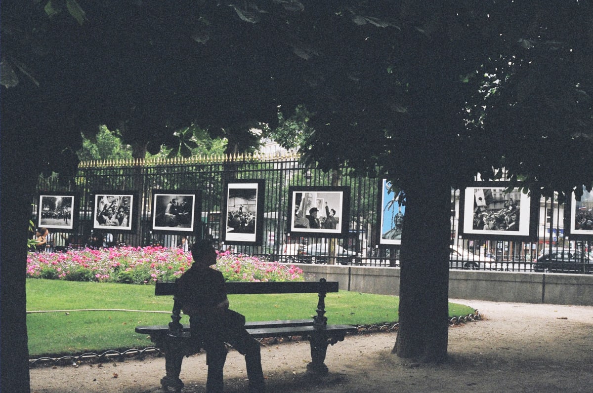 Photos in the Park, Paris by Diana Atwood McCutcheon 