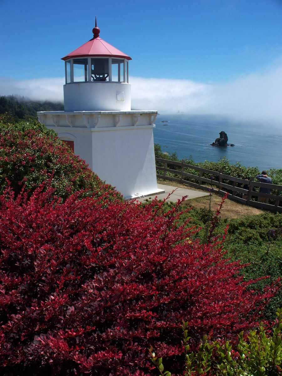 Trinidad Lighthouse (closer) by Diana Atwood McCutcheon  Image: California Coast