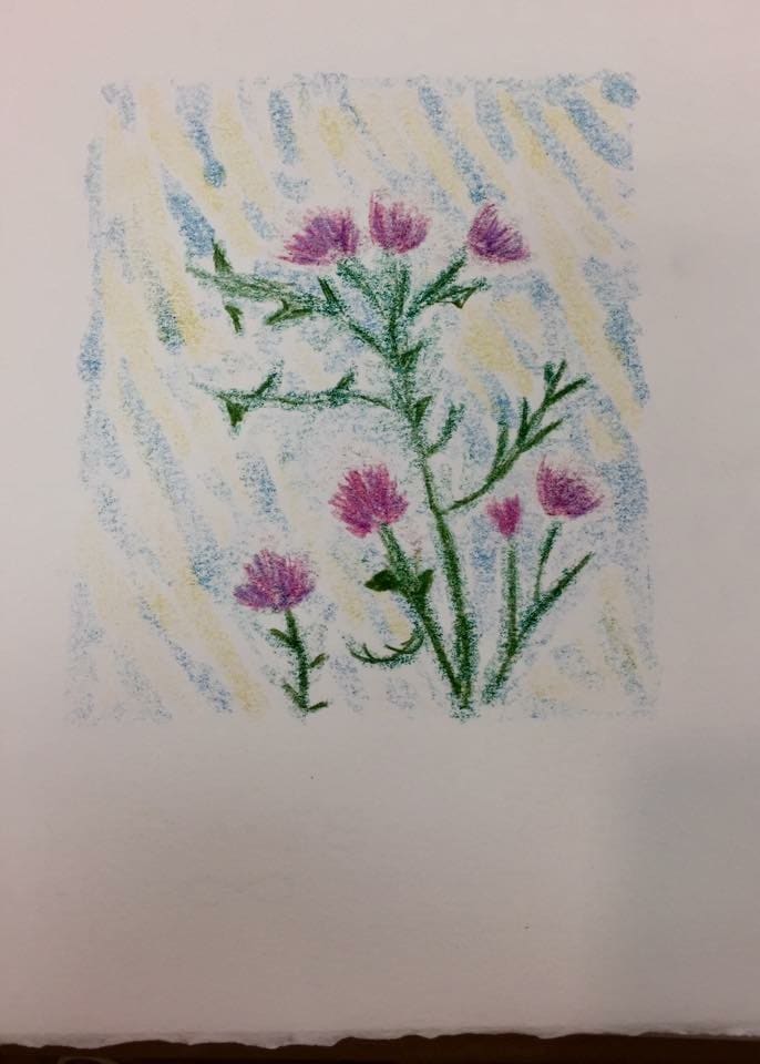 Thistle 2 by Diana Atwood McCutcheon 