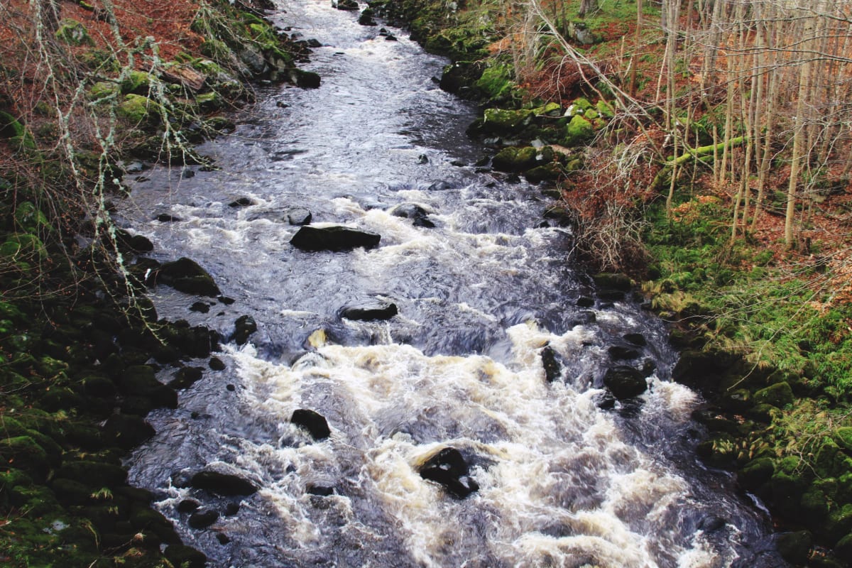 Huntley Rapids by Diana Atwood McCutcheon 