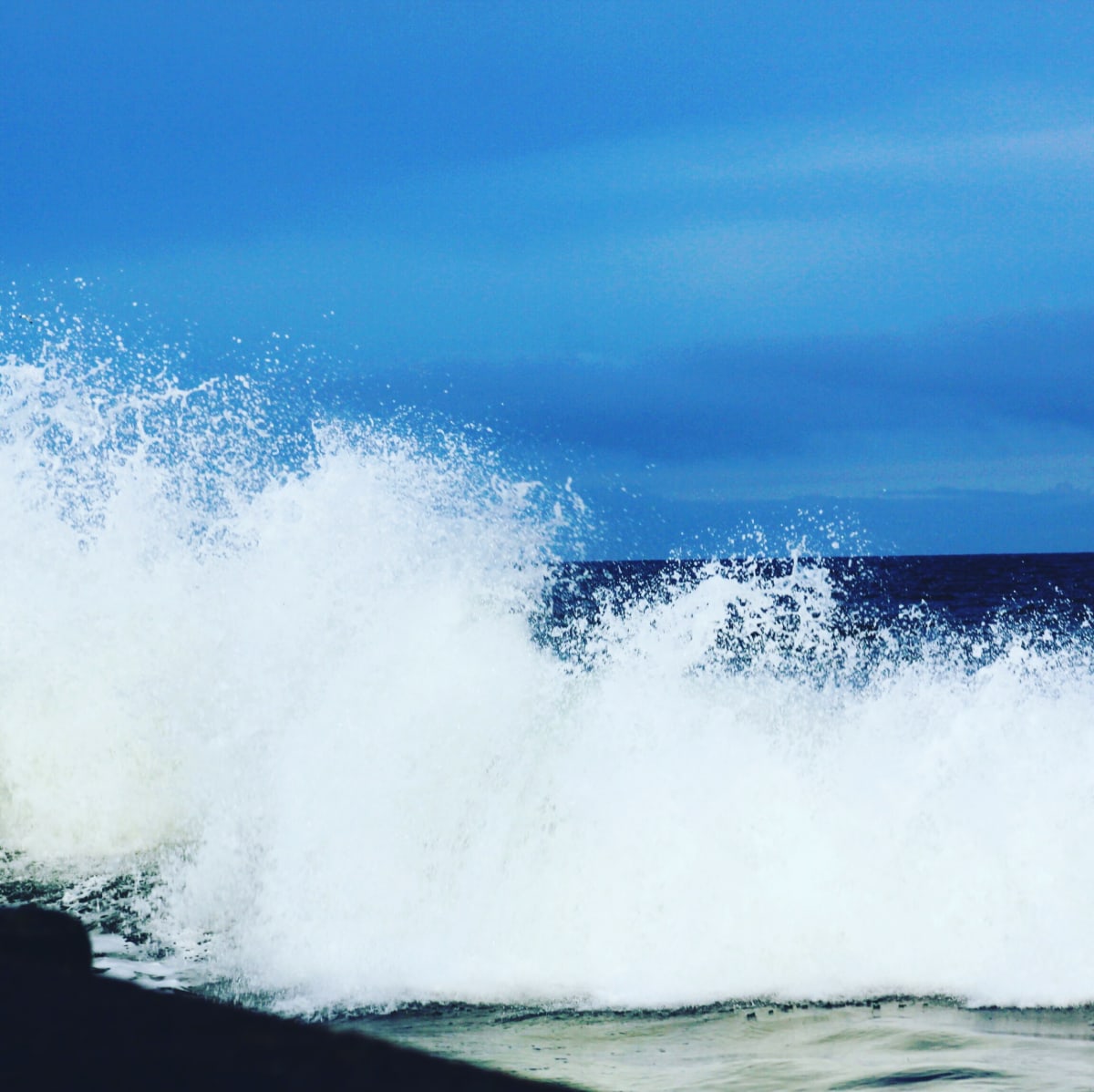 The Big One by Diana Atwood McCutcheon, Image 2.