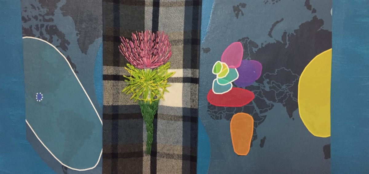 First DNA Mapping Comprehensive by Diana Atwood McCutcheon 