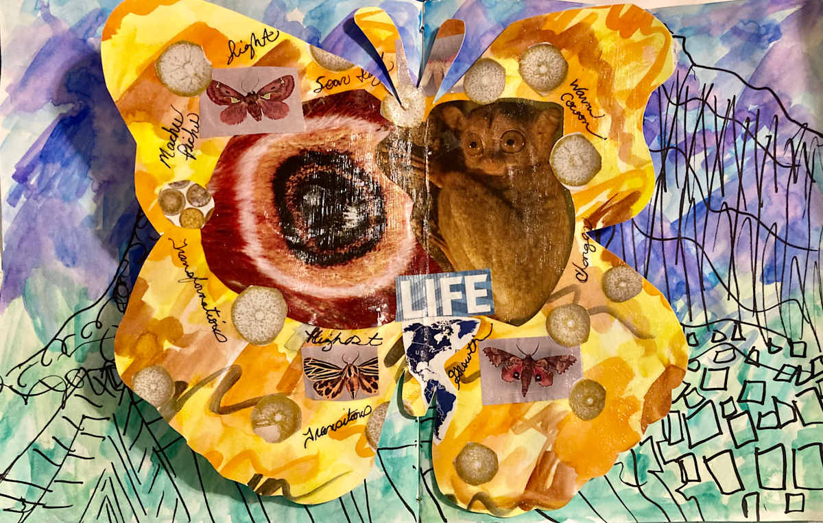 Butterfly Machu Pichu by Diana Atwood McCutcheon 