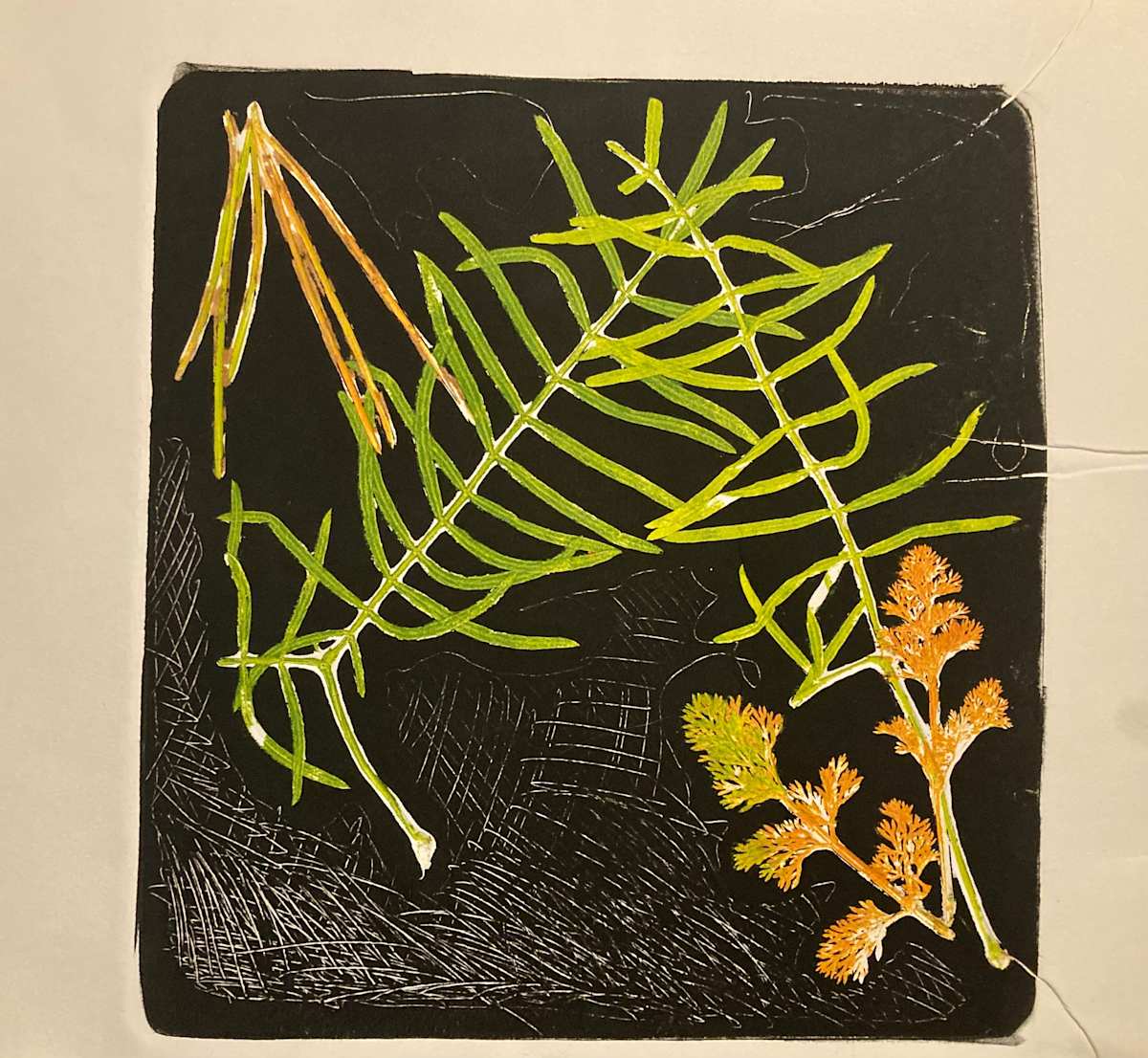 Nature Monoprint with Greg by Diana Atwood McCutcheon 