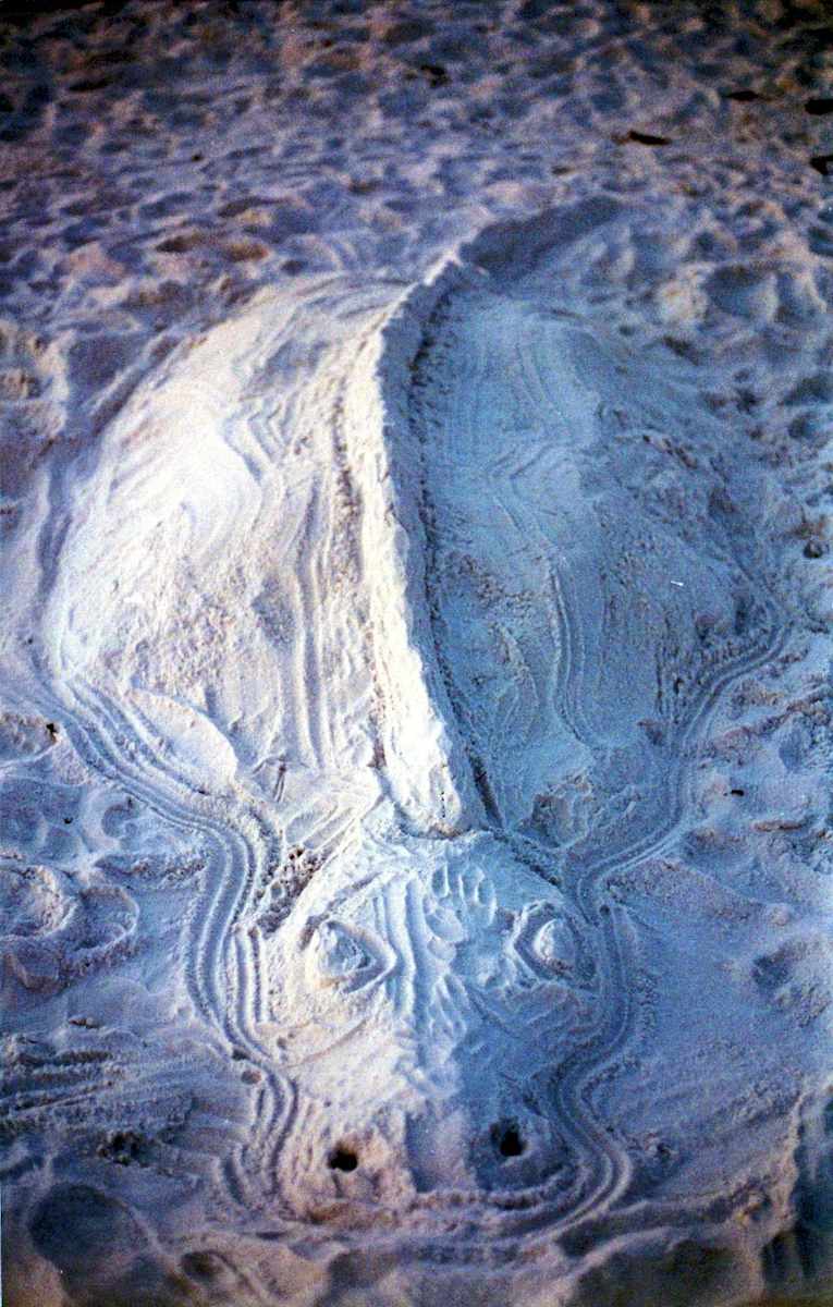 Sand Art by Diana Atwood McCutcheon 