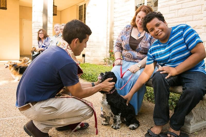 Blessing of the Animals - St. Alban's Episcopal by Diana Atwood McCutcheon 