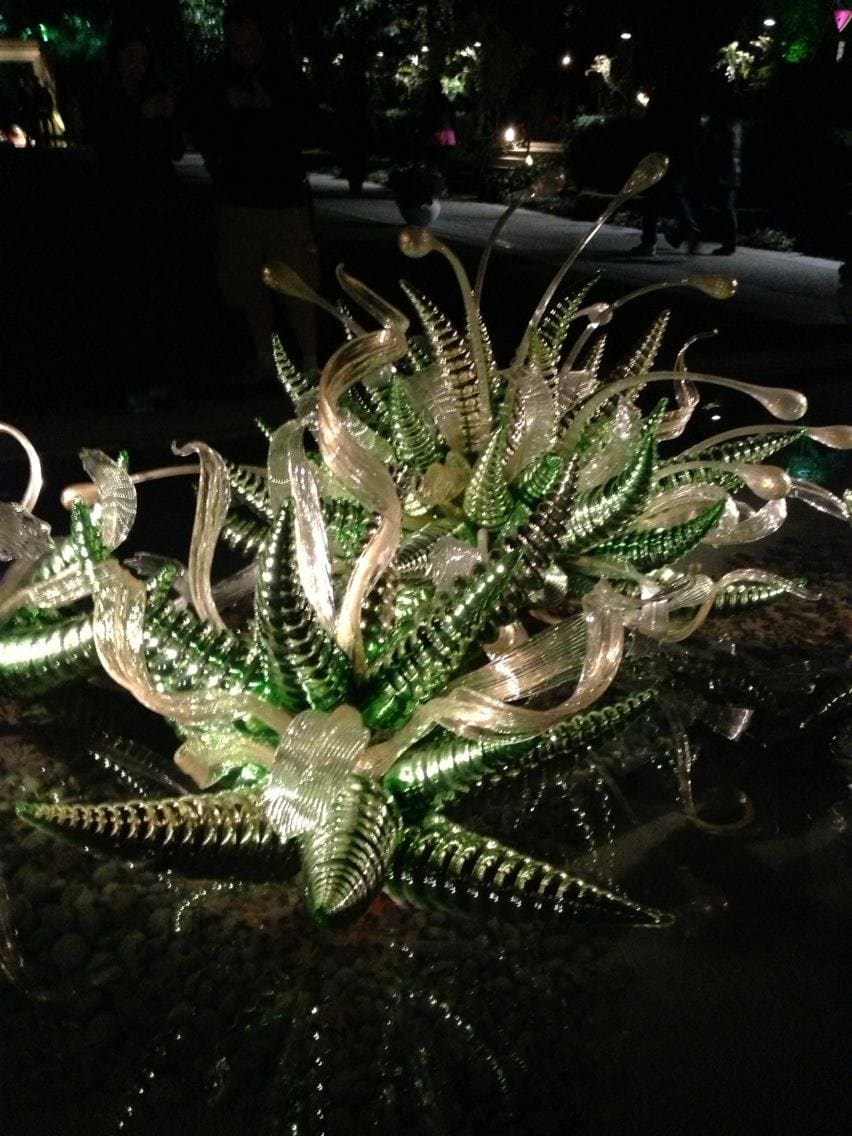 Chihuly Exhibit (Dallas Arboretum) by Diana Atwood McCutcheon 