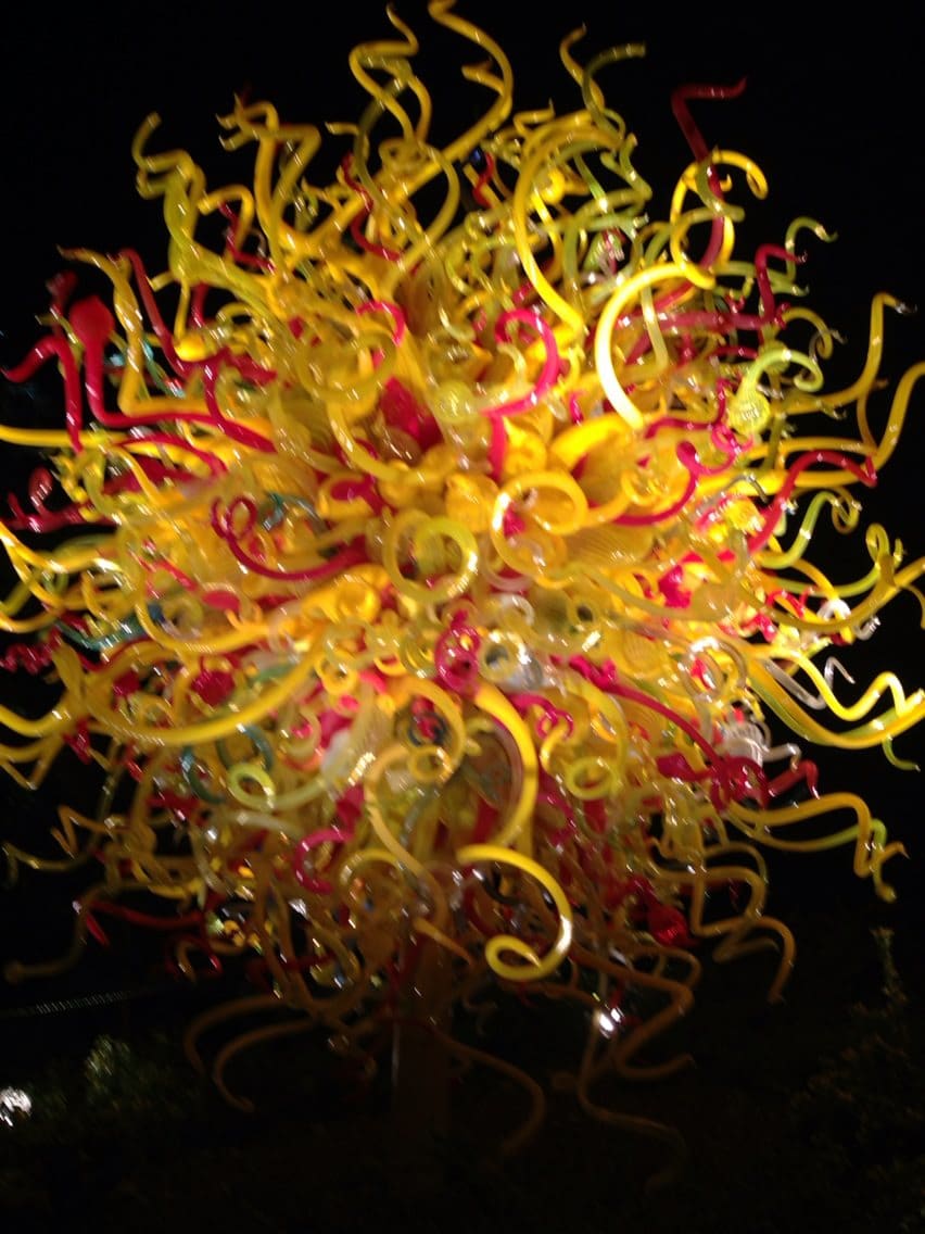 Chihuly at Night (Dallas Arboretum) by Diana Atwood McCutcheon 