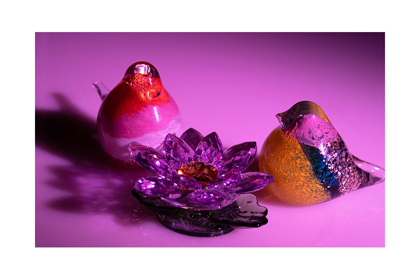 Birds and Lotus by Diana Atwood McCutcheon 