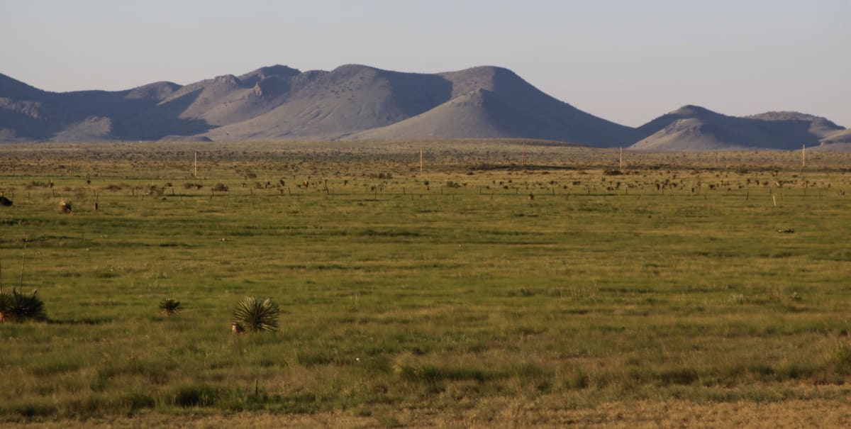 Marfa Landscape by Diana Atwood McCutcheon, Image 1.
