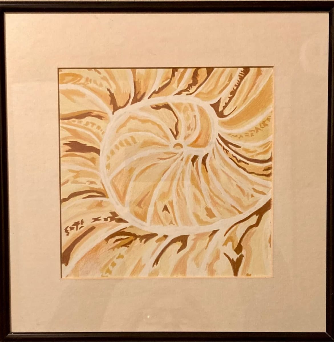 Nautilus by Diana Atwood McCutcheon 