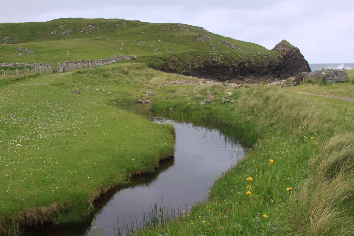 Walking Lewis (near Dalbeg) by Diana Atwood McCutcheon 