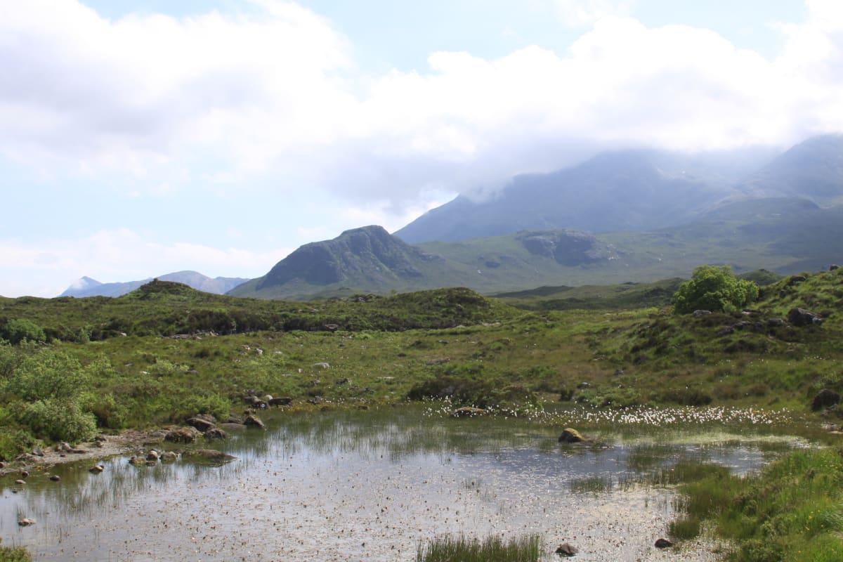 Isle of Skye by Diana Atwood McCutcheon 