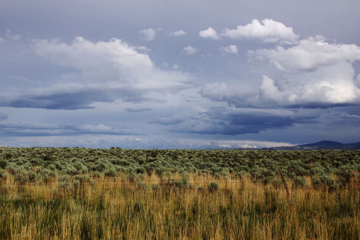 Yellows, Greens, and Blues by Diana Atwood McCutcheon 