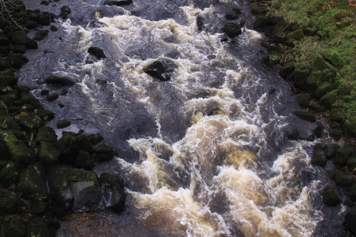 Huntley Rapids 2 by Diana Atwood McCutcheon 