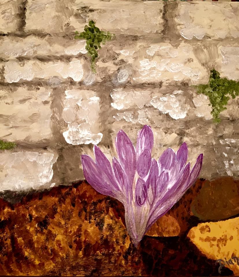 Jerusalem Crocus by Diana Atwood McCutcheon 