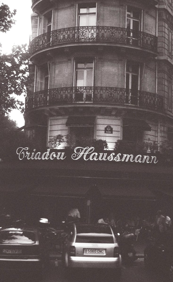 Paris Triadou Haussmann by Diana Atwood McCutcheon 
