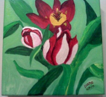 Wild Persian Pearl Crocus by Diana Atwood McCutcheon 