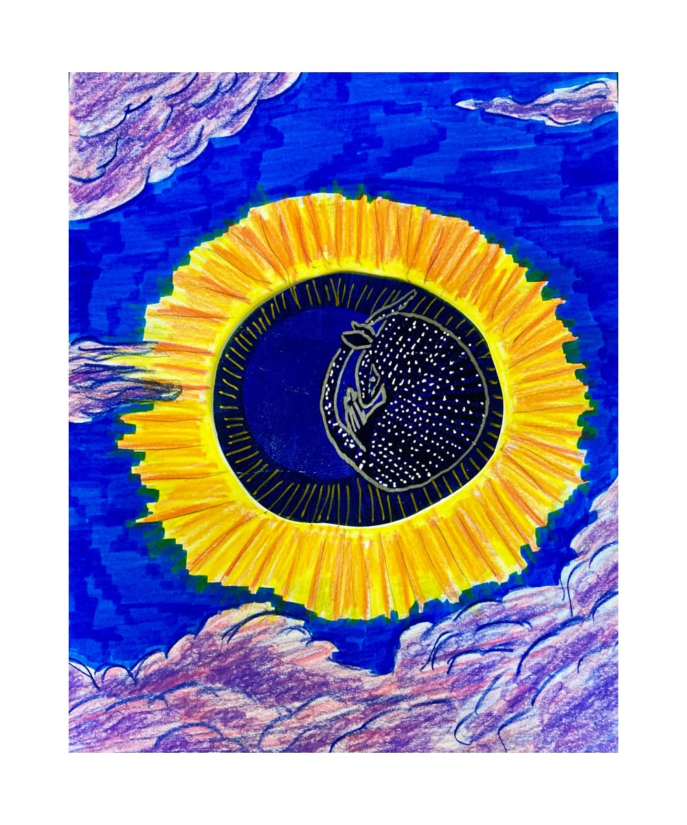Cosmic Armadillo by Diana Atwood McCutcheon 