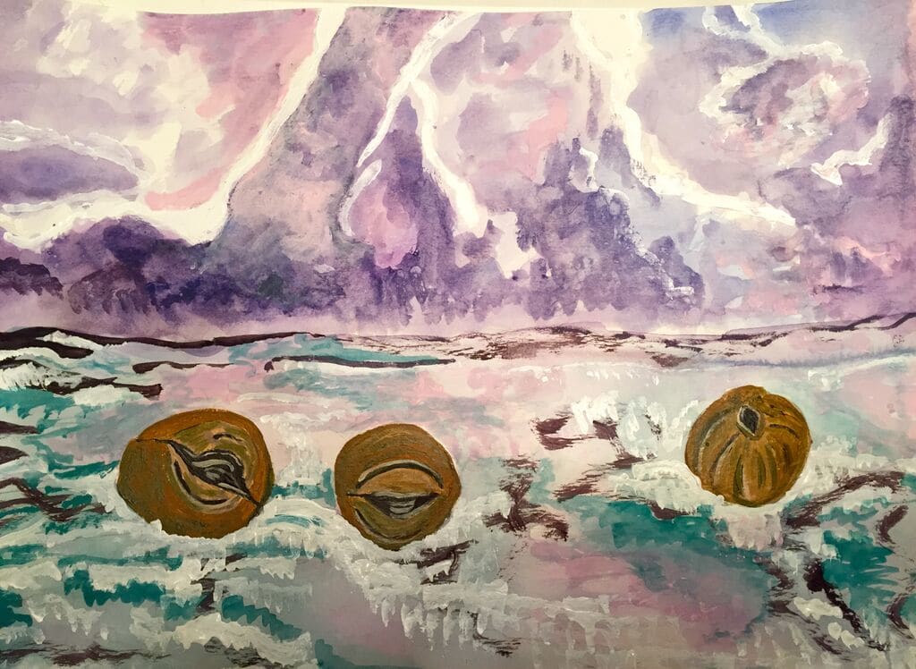 Lotus pods by Diana Atwood McCutcheon 