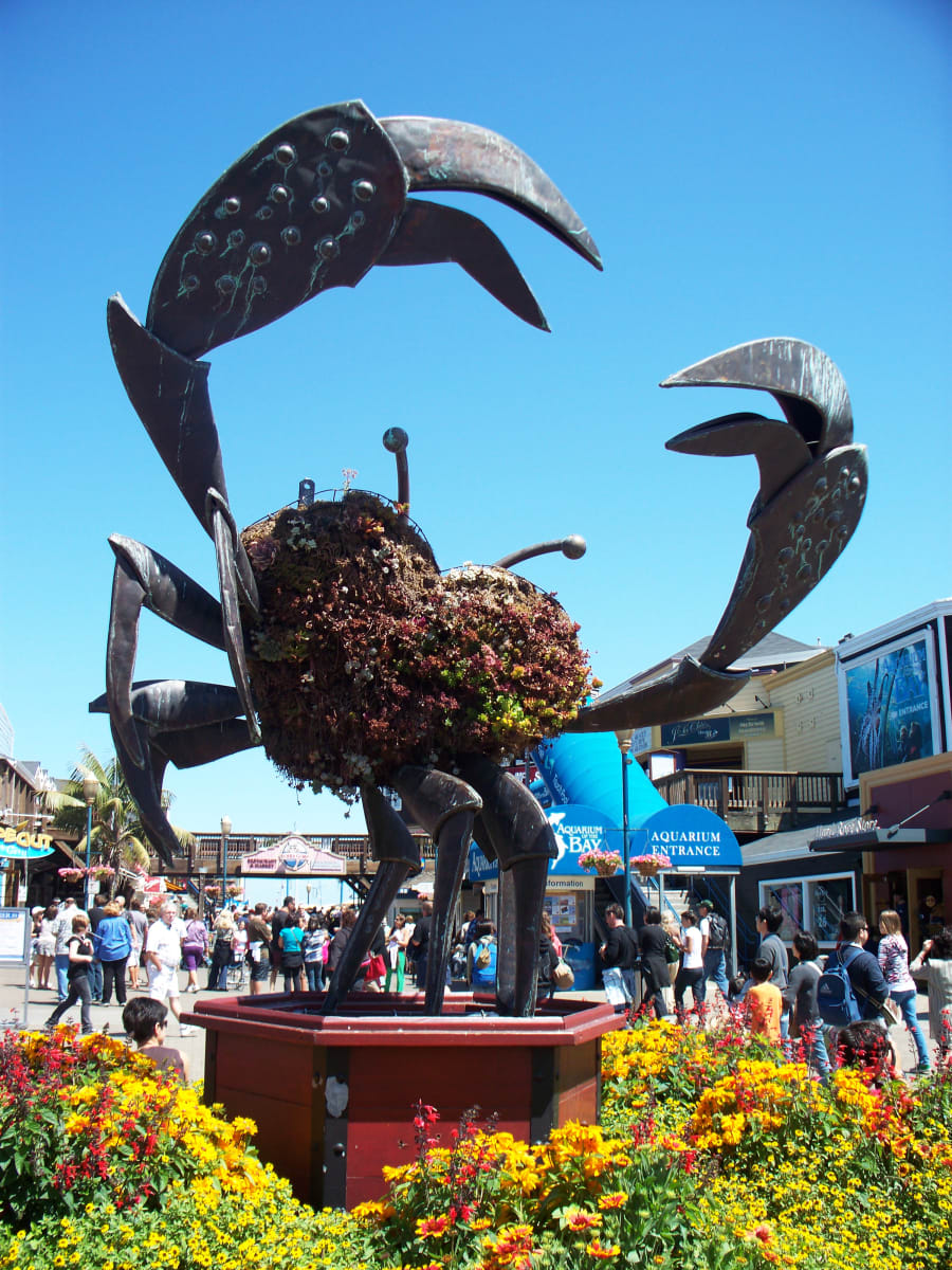 The Love Crab by Diana Atwood McCutcheon, Image 13.