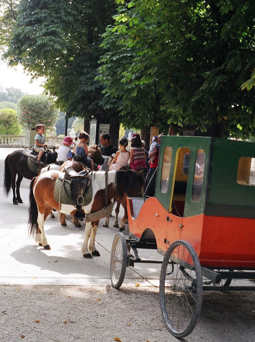 Pony Rides in Paris by Diana Atwood McCutcheon 