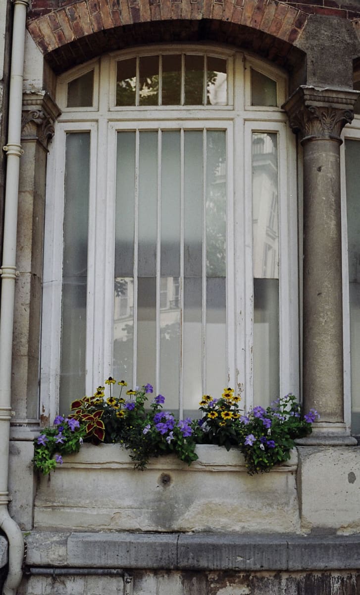 Window flower box by Diana Atwood McCutcheon 