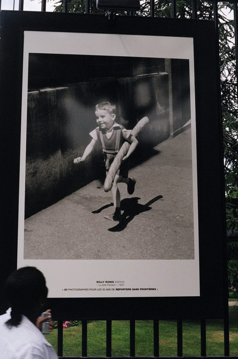 Photos in the Park by Diana Atwood McCutcheon 