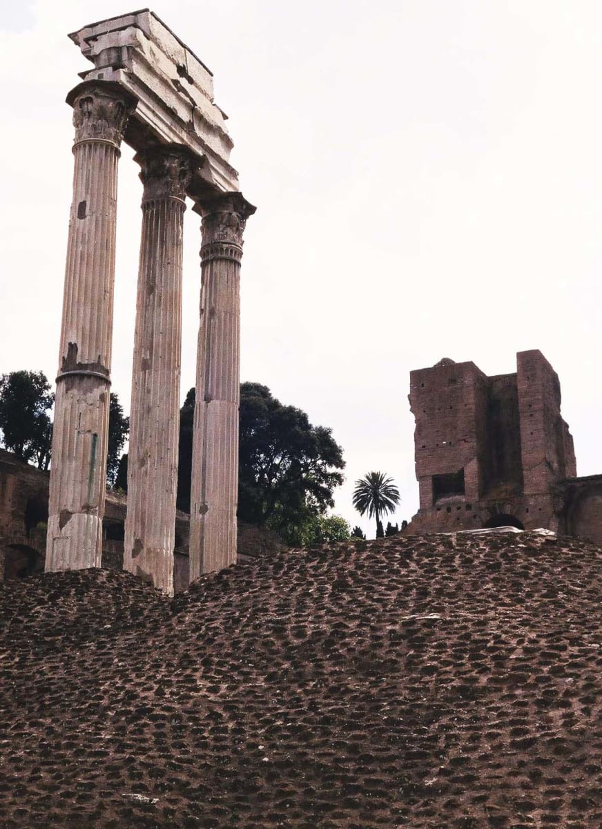 Roman Forum by Diana Atwood McCutcheon 