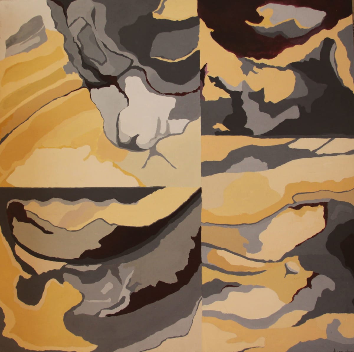 Seashells by Diana Atwood McCutcheon 