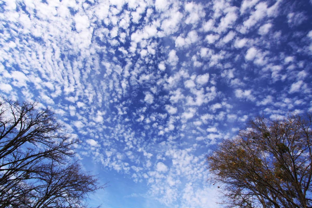 Swirling Clouds by Diana Atwood McCutcheon 