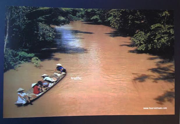 Traffic by Diana Atwood McCutcheon 