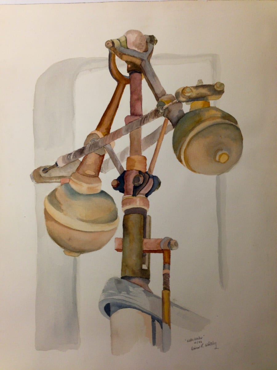 Waco Water Works by Diana Atwood McCutcheon 