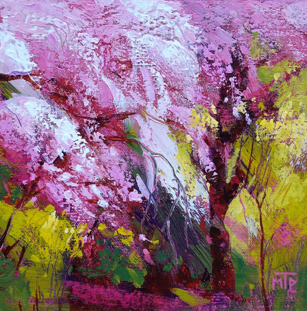 Spring Blossoms VI by Tatjana Mirkov-Popovicki 