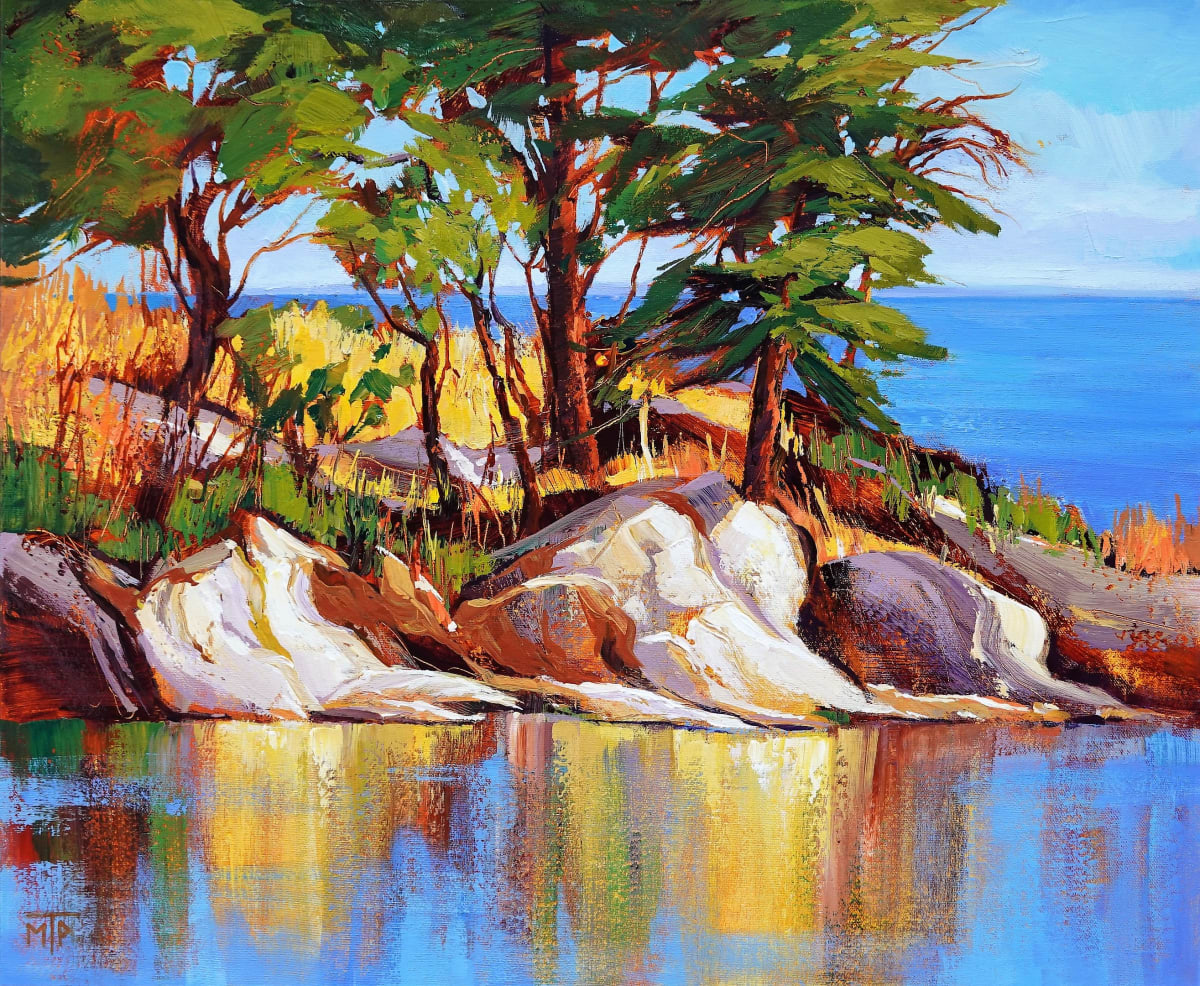Salt Spring Light by Tatjana Mirkov-Popovicki, Image 2.
