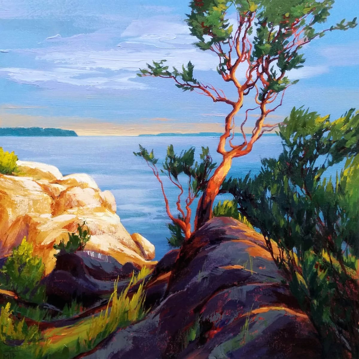 Lighthouse Park Arbutus by Tatjana Mirkov-Popovicki, Image 1.