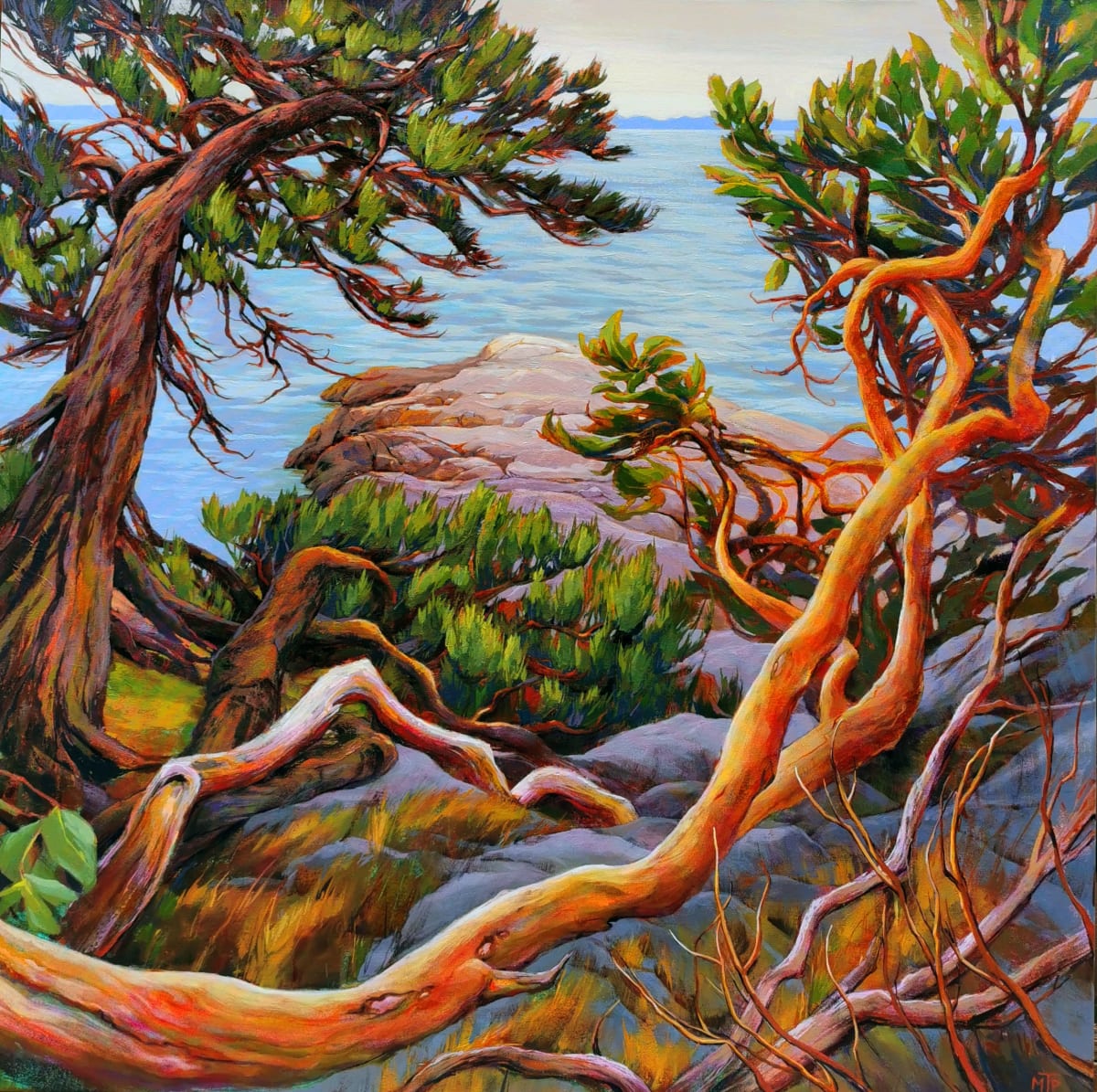 Coastal Arbutus and Jack Pine by Tatjana Mirkov-Popovicki 