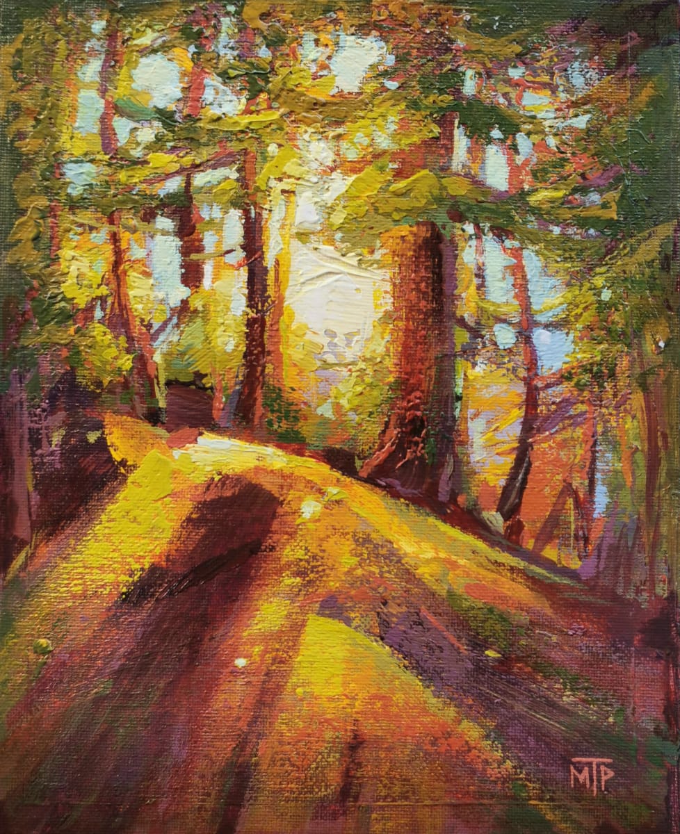Sunset Trail by Tatjana Mirkov-Popovicki 