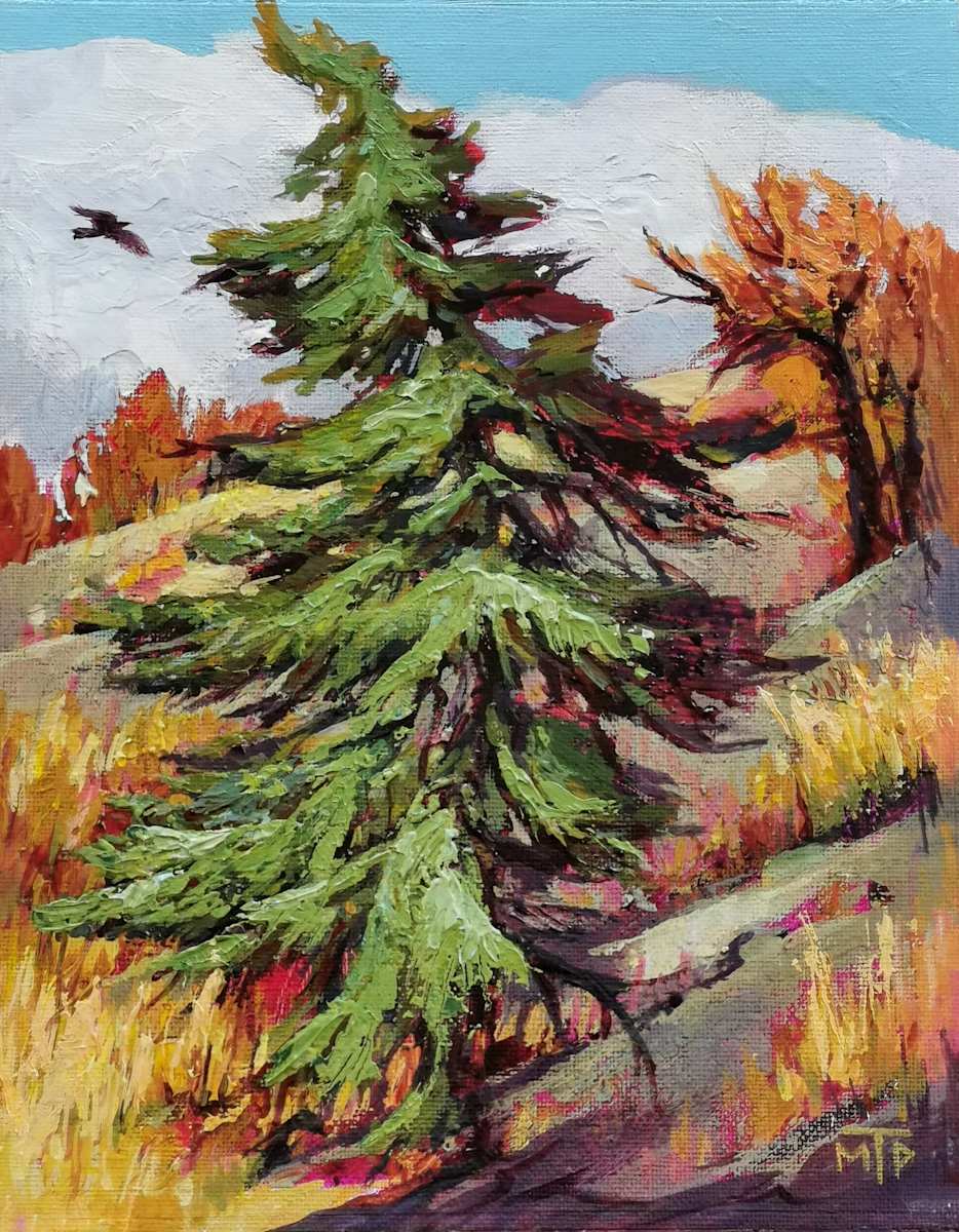 Ponderosa Pine by Tatjana Mirkov-Popovicki 