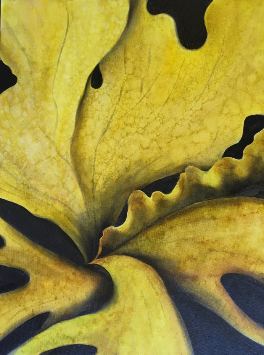Elk Fern by Ansley Pye 