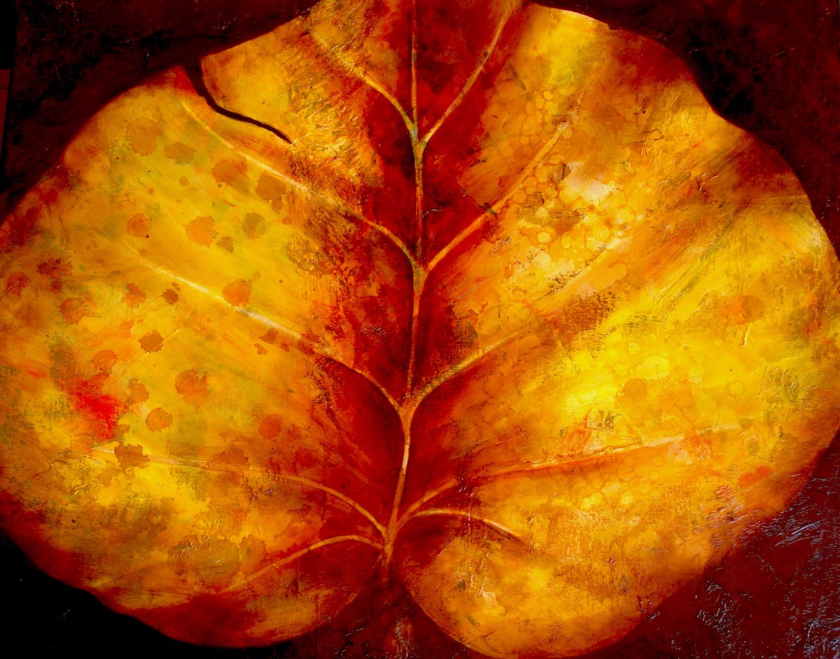 Leaf from Ixtapa by Ansley Pye 