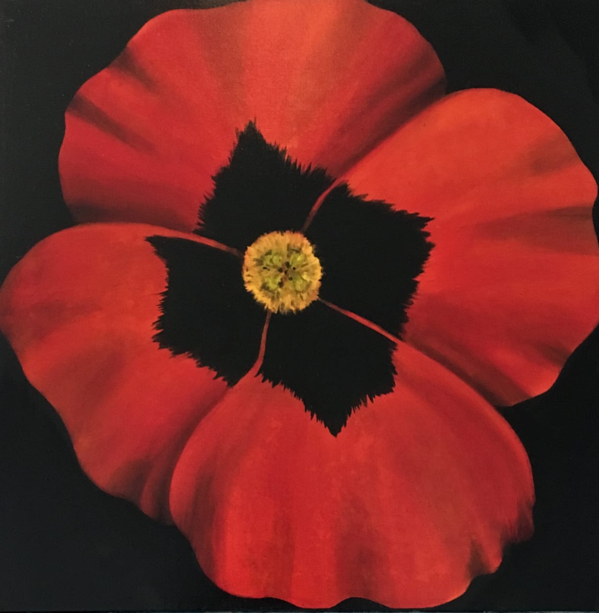 Red Pansy by Ansley Pye 