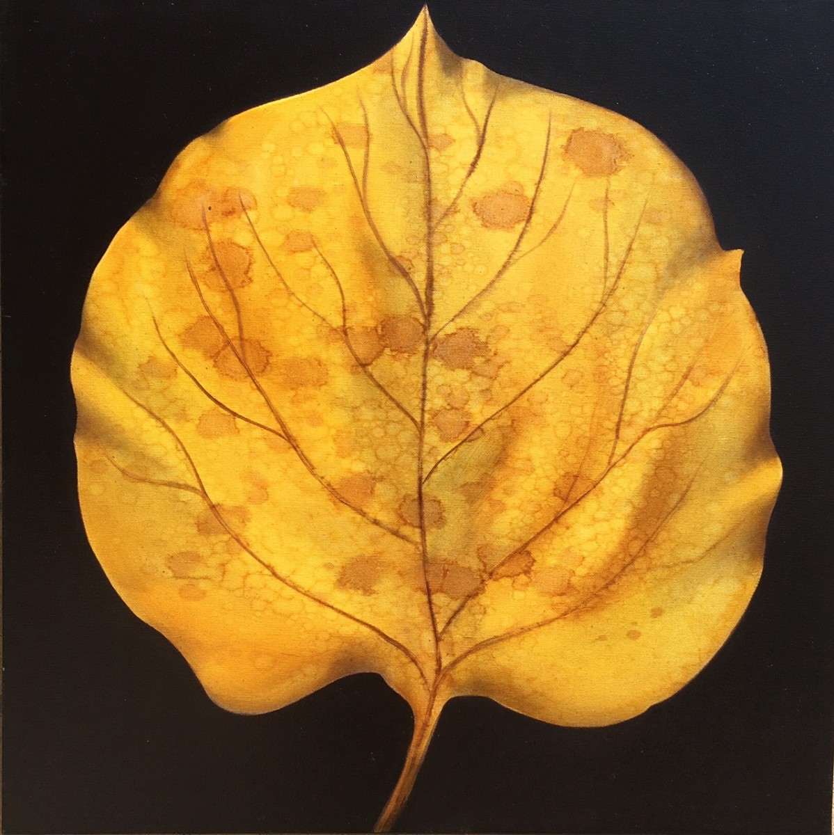 Santa Fe Leaf by Ansley Pye 