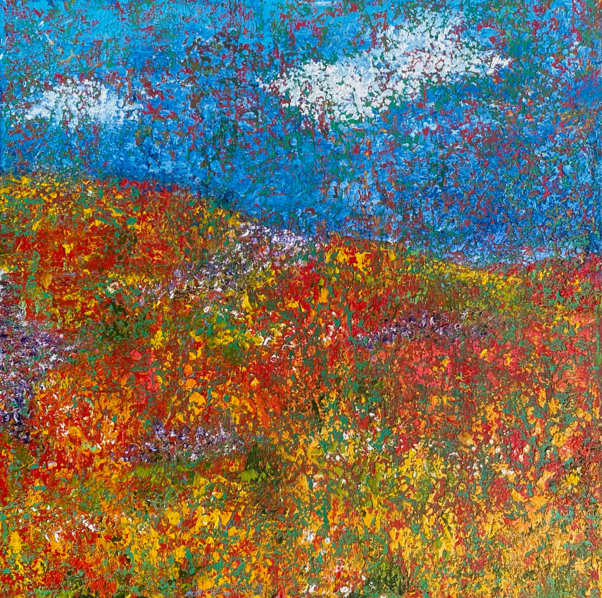 So Cal Super Bloom I by Ansley Pye 
